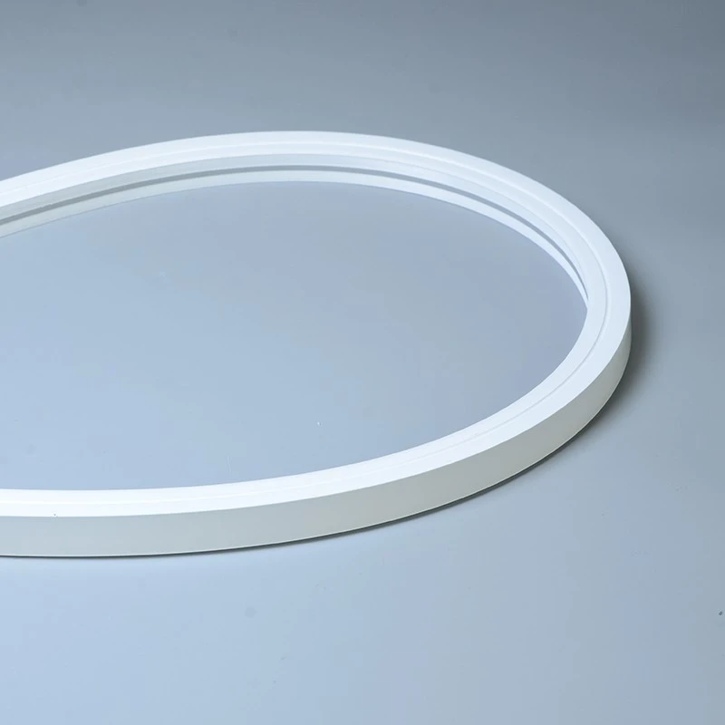outdoor led neon rope light